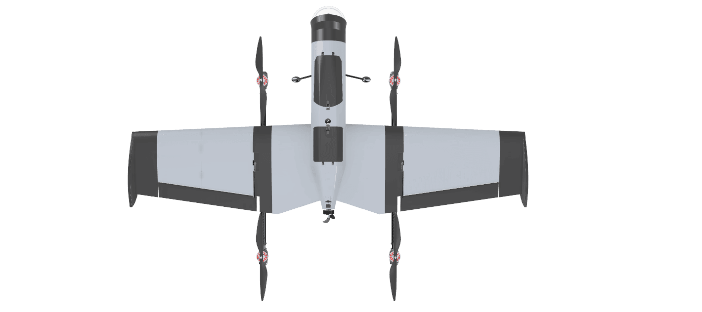 Vulture view 4