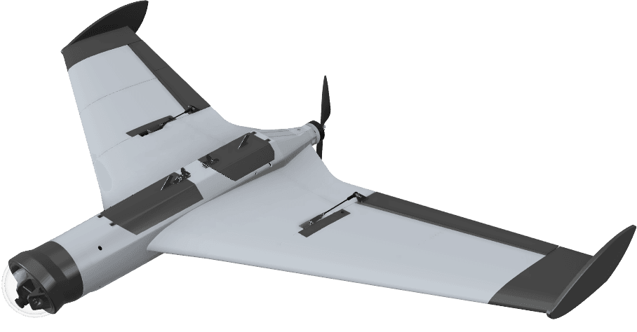 Manta